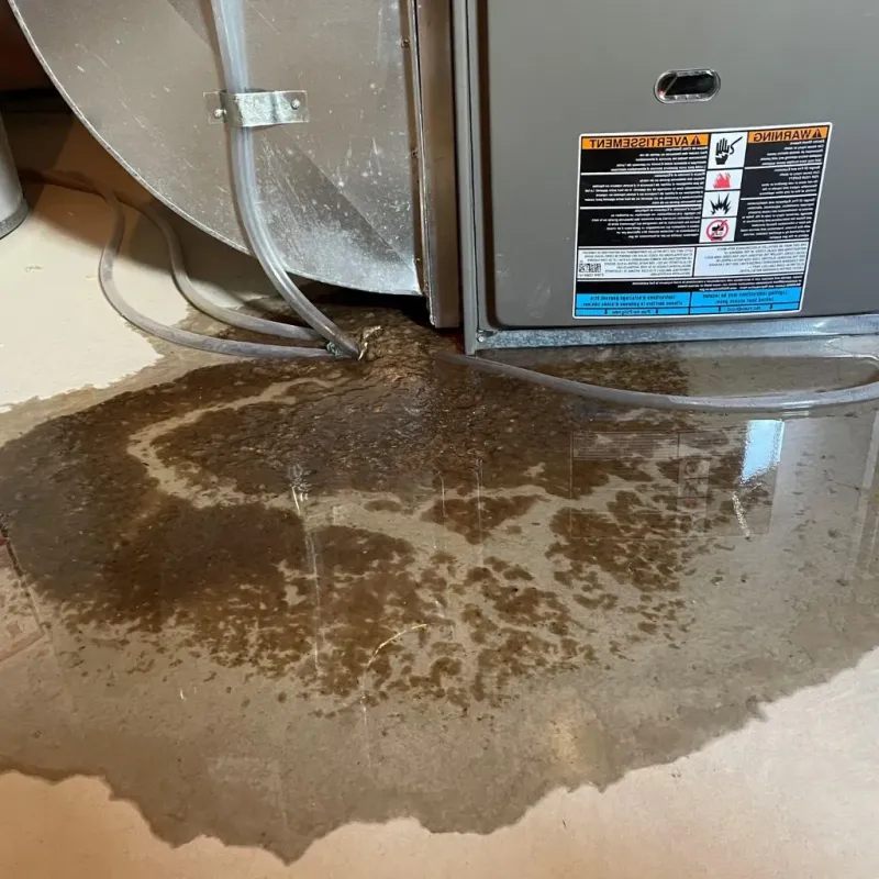 Pipe Burst and Leak Restoration in Palatine, IL